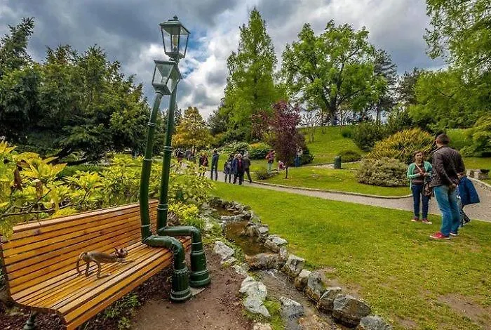 Ampia Mansarda E Terrazzo [10 Minuti Dal Centro] Appartamento Torino